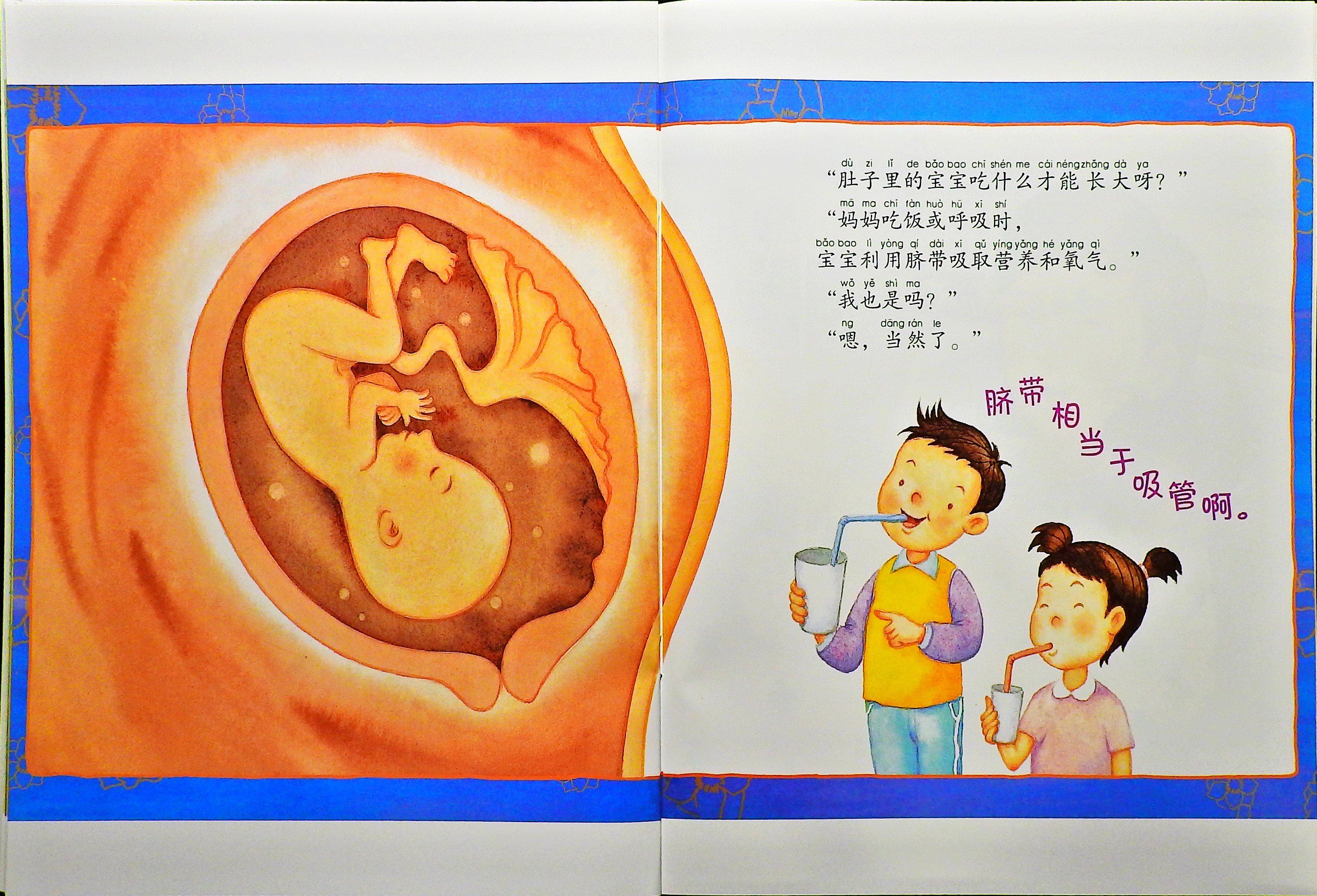 宝宝是怎么出生的？ (10),绘本,绘本故事,绘本阅读,故事书,童书,图画书,课外阅读